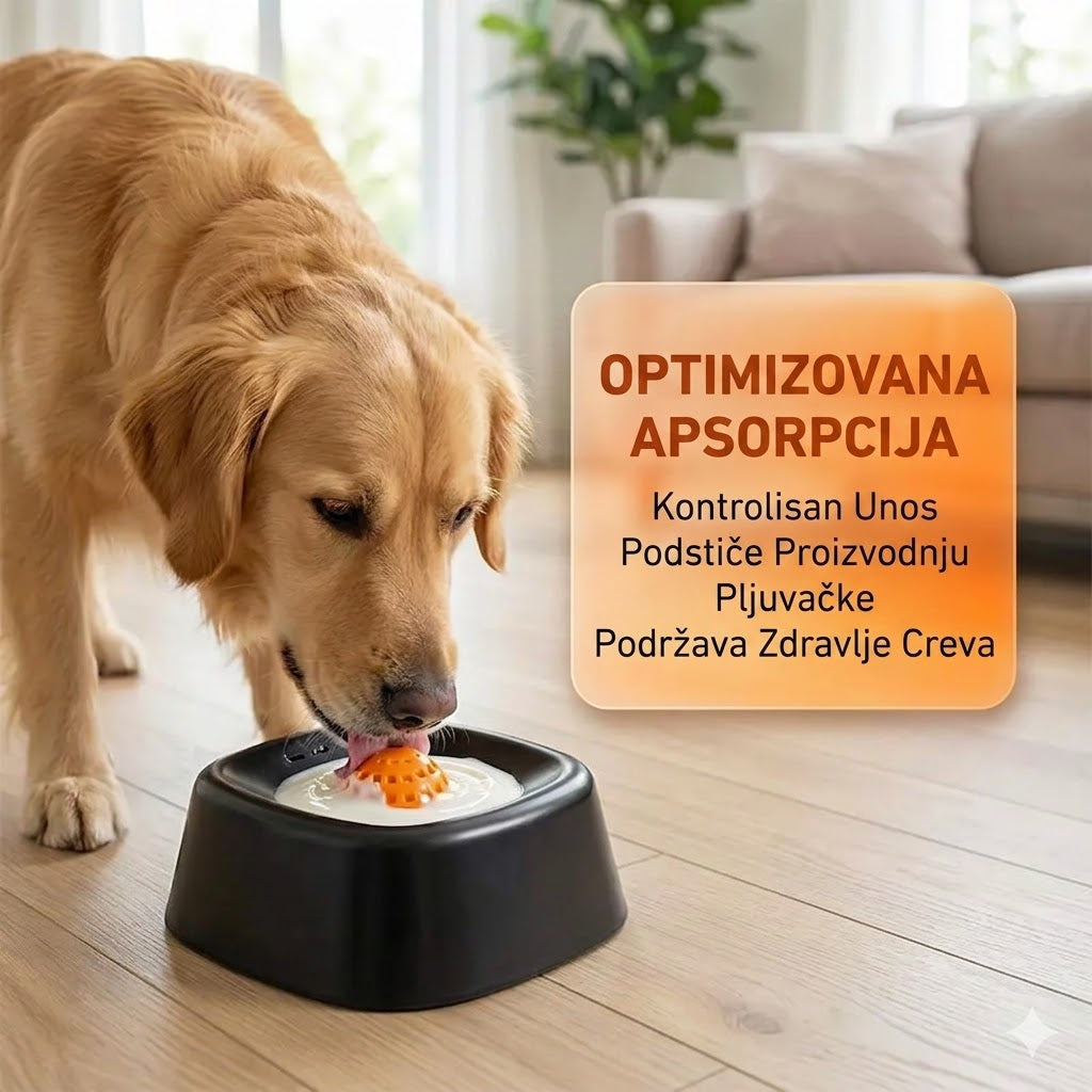 Zabavna Činija Za Ljubimce