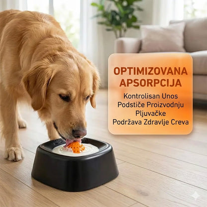 Zabavna Činija Za Ljubimce