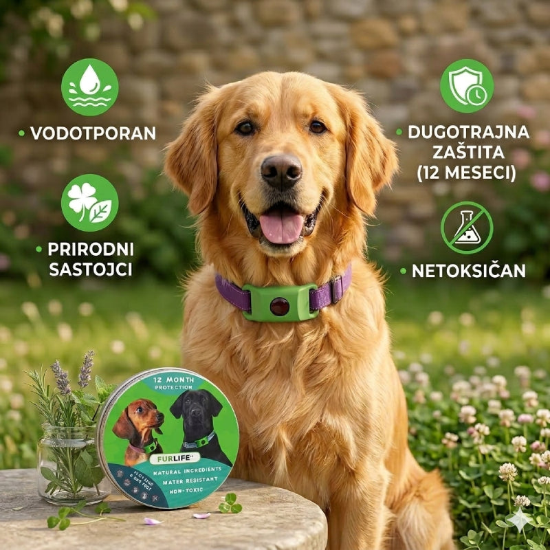 Privezak Za Ogrlicu Protiv Buva I Krpelja (Trajanje 2 meseca)